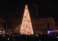 Albero Natale4