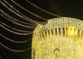 Borgo Di Natale Castello Torre Ulluminata