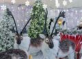 Borgo Di Natale Renne Al Polo Nord