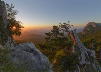 2022 07 03 05 40 35 46 Panorama Edit