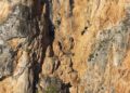Luigi De Vivo Puglia Cicogna Nera Gravina Laterza (1)