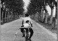 Nyc15333 France. Provence. 1955.