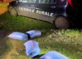 Vigile Rurale 04 12 2023