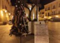 Albero Piazza Mercantile