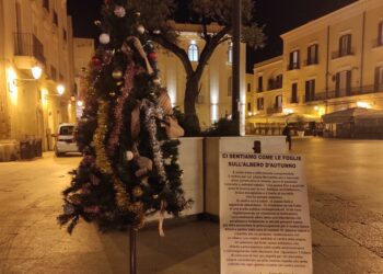 Albero Piazza Mercantile