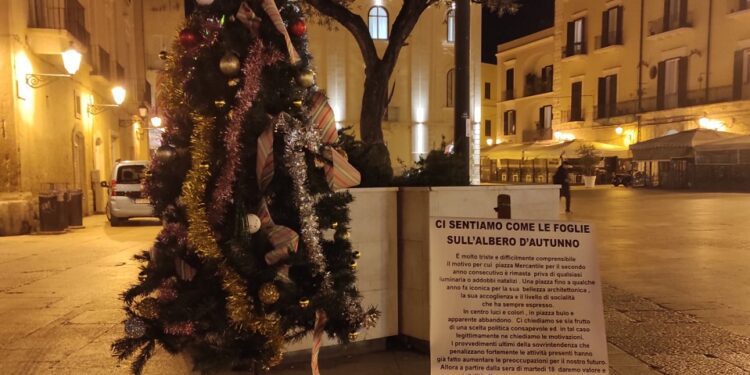 Albero Piazza Mercantile