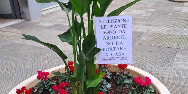 Cartello Piante