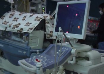 Influenza, Covid E Virus Sinciziale. Il Pediatra Di Mauro: “non Baciate I Neonati” – Video
