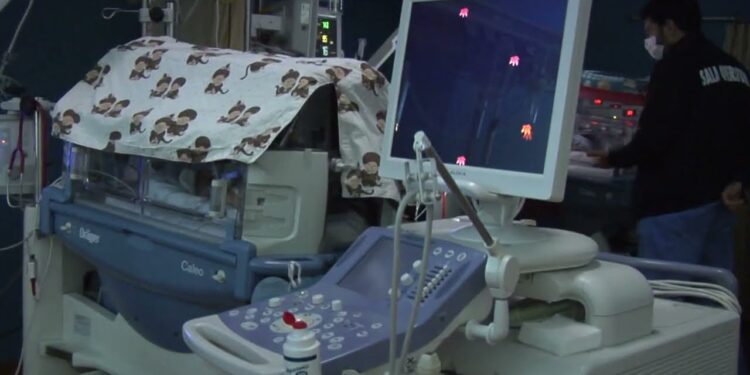 Influenza, Covid E Virus Sinciziale. Il Pediatra Di Mauro: “non Baciate I Neonati” – Video