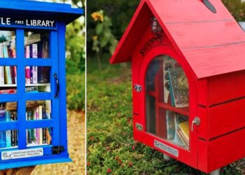 Little Free Library