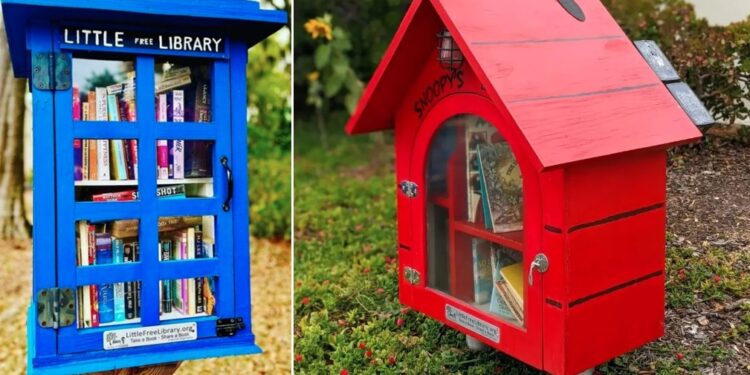 Little Free Library