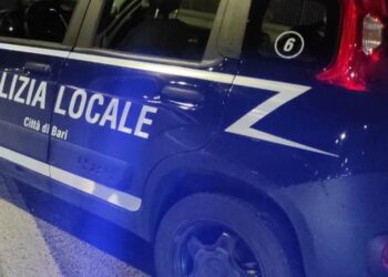 Polizia Locale Notte