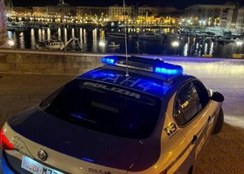 Polizia Muraglia