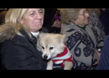 Bari vecchia, visita guidata e messa con gli animali domestici: è la benedizione di Sant’Antonio – VIDEO