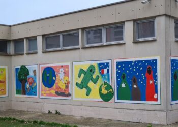 Progetto Extramurale S (1)