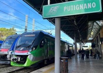 Treno Fse