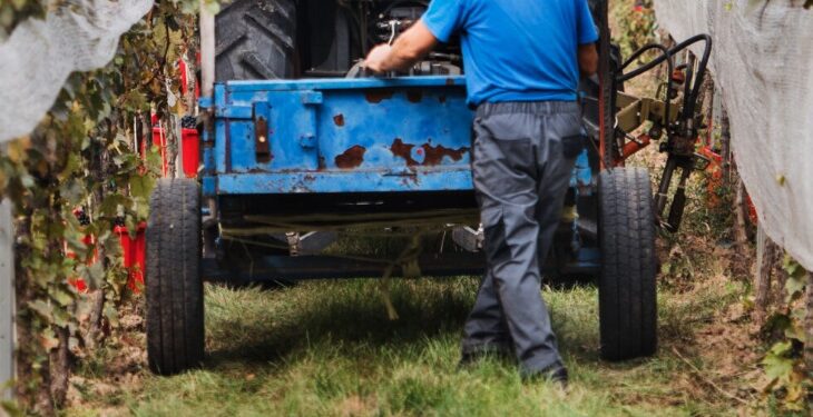 Agricoltura