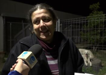 Bari, Al Canile Arriva La ‘becana’: “una Befana Con La Coda Per Raccogliere Fondi Per Amici A Quattro Zampe” – Video