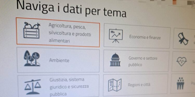 Bari Open Data