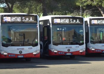 Bus