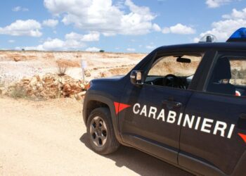 Carabinieri Ansa