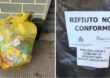 Differenziata