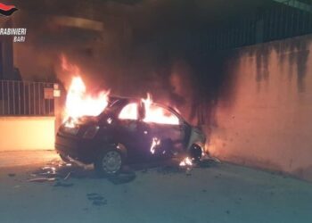 Fiamme Auto