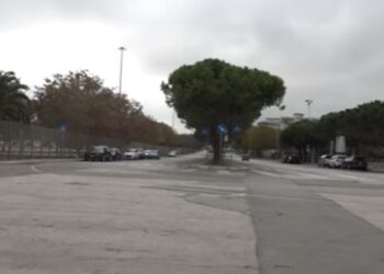 Fiera Viali
