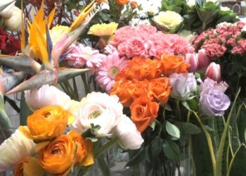 Fiori