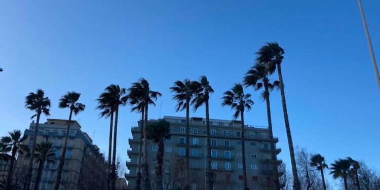 Meteo Vento Cielo Sereno