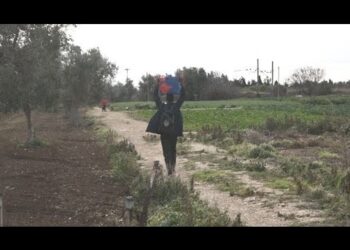 Migranti Sui Binari A Palese, Parlano Gli Ospiti Del Cara: “unico Modo Per Portare Cibo Da Fuori” – Video