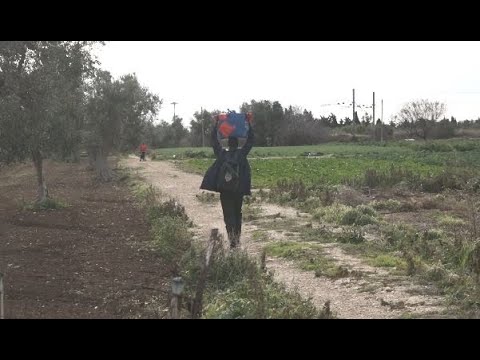 Migranti Sui Binari A Palese, Parlano Gli Ospiti Del Cara: “unico Modo Per Portare Cibo Da Fuori” – Video