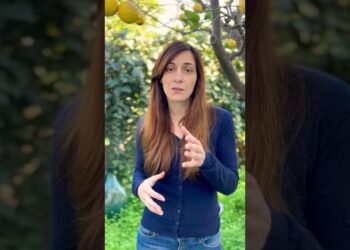 Noicattaro, Dalla Guerra Alla Maternità: In Biblioteca Torna Il ‘mercoledì Fotografico’ – Gli Appuntamenti Gratuiti