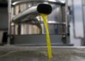 Olio Ansa