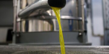 Olio Ansa
