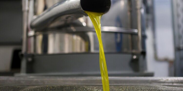 Olio Ansa