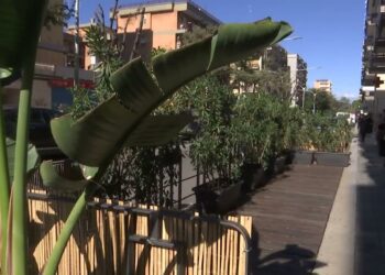 Parklet