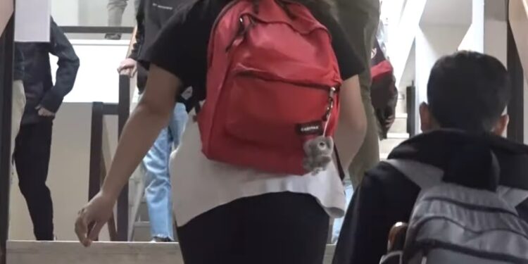 Scuola 6