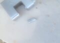 Img 1664