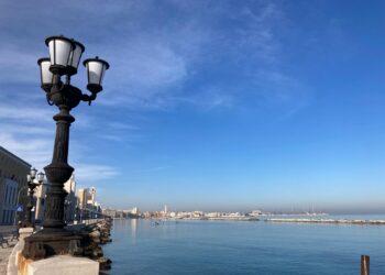 Meto bari laricchia