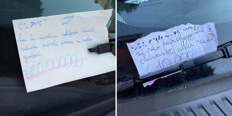 Auto Fine Multe