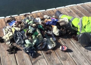 Bari, Dalle Acque Del Molo San Nicola ‘pescati’ Pneumatici E Taniche Di Olio Per Motori – Video