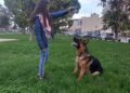 Cane Bimba