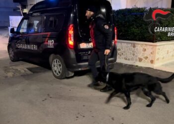 Carabinieri Brindisi