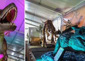 Dinosauri