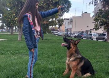 Foto Cane Bambina