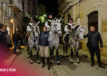 Palio Del Viccio