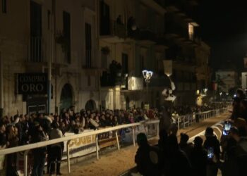 Palio Viccio 2024