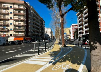 Pista Ciclabile Viale Della Repubblica