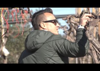Protesta Trattori, Il Reportage Di Telebari Nelle Campagne Di Chi Resiste: “È La Nostra Terra” – Video